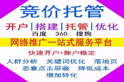 SEM优化技巧：实战案例深度剖析